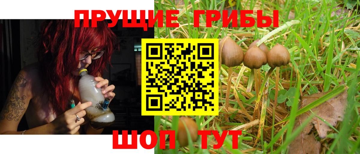 Димитровград  Галлюциногенные грибы GOLDEN TEACHER  Галлюциногенные грибы MAGIC MUSHROOMS  Вход с VPN 